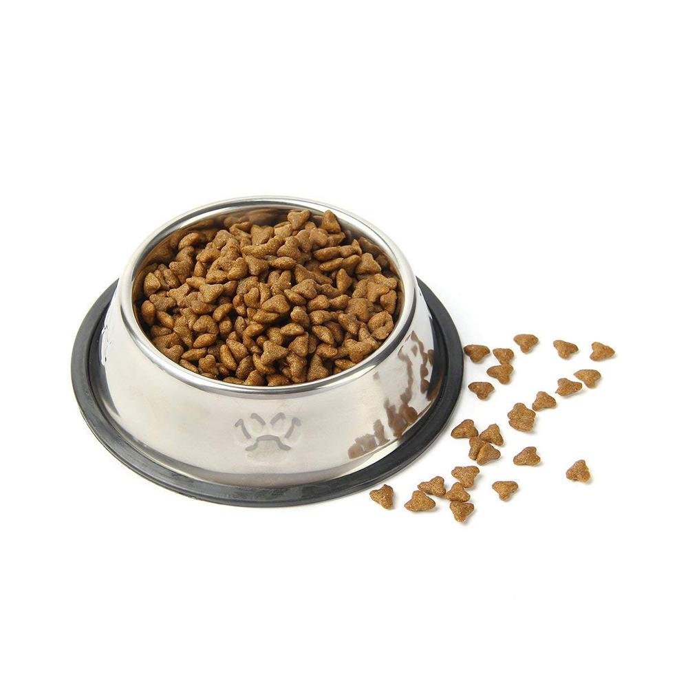 Qpey Pet Food Bowl Stainless Steel