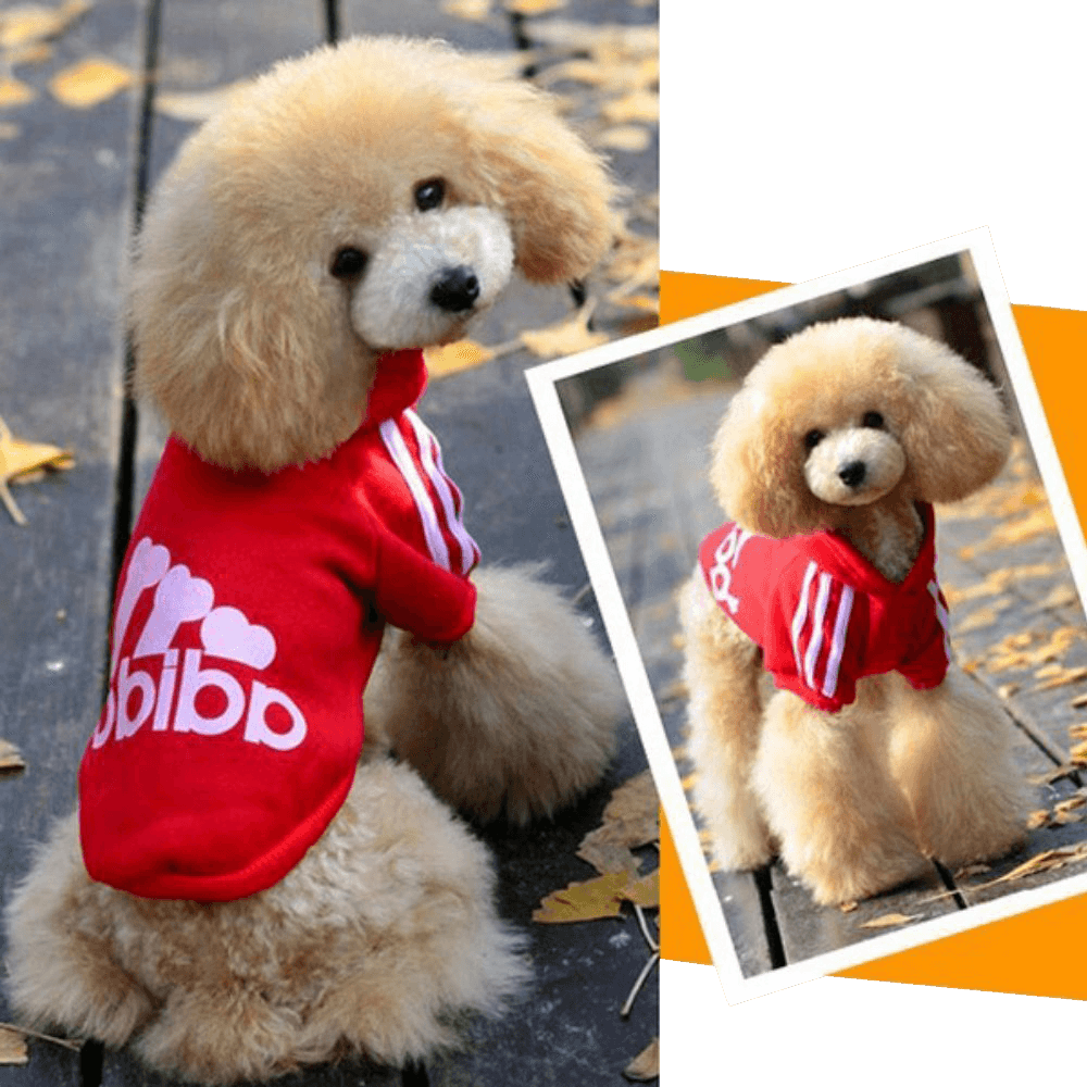 Zehui Pet Dog Cat Sweater Puppy